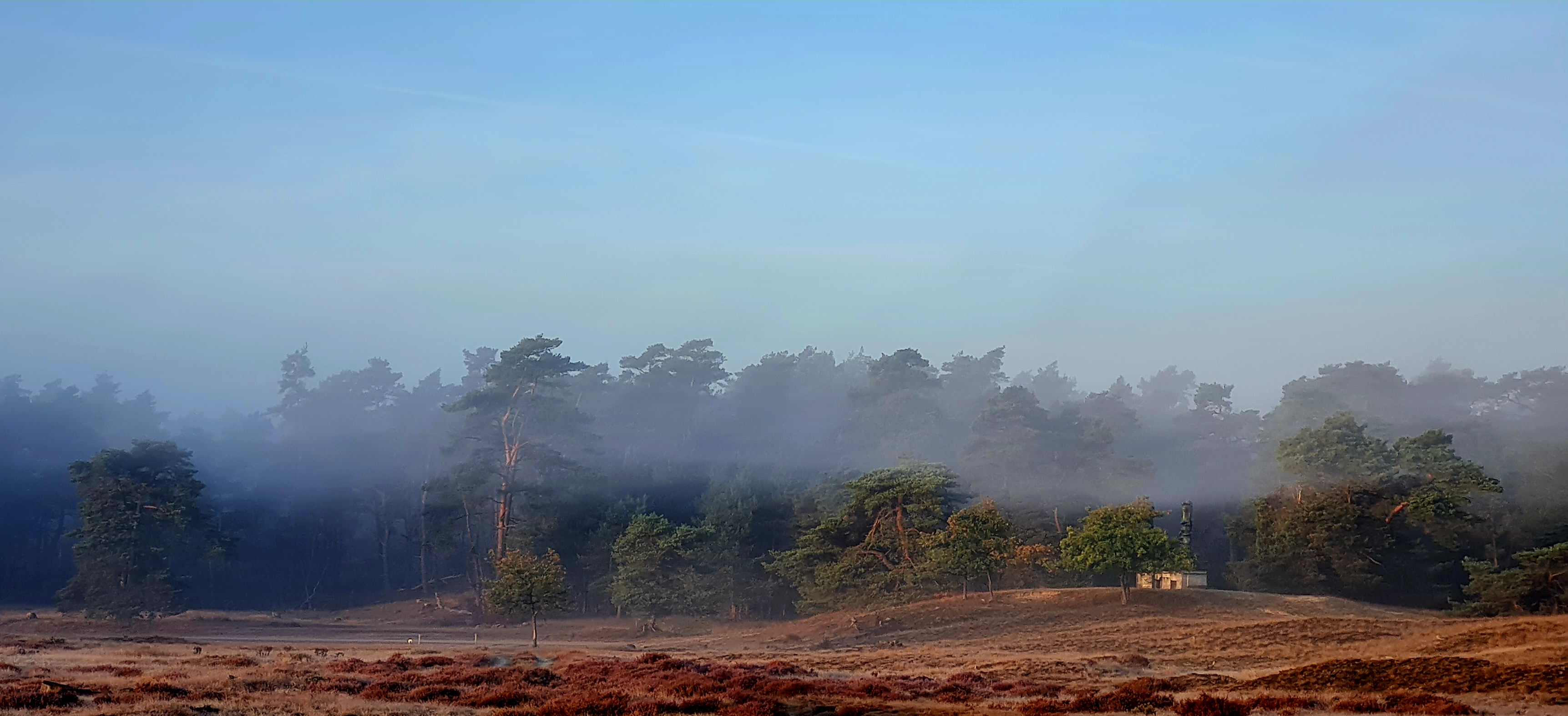 Excursie Dauwtrappen met een Natuurgids vanaf ingang Otterlo — Park