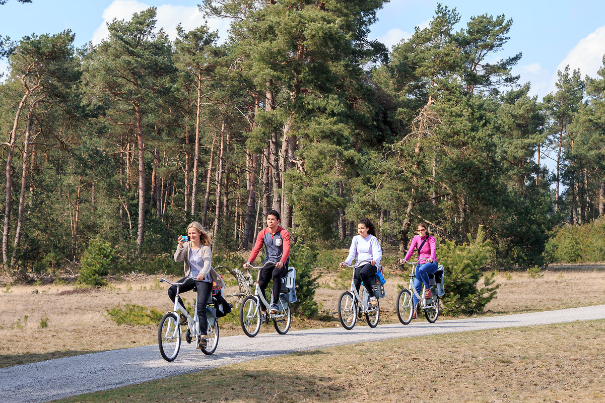 Fietstocht langs kunstwerken — Park Hoge Veluwe