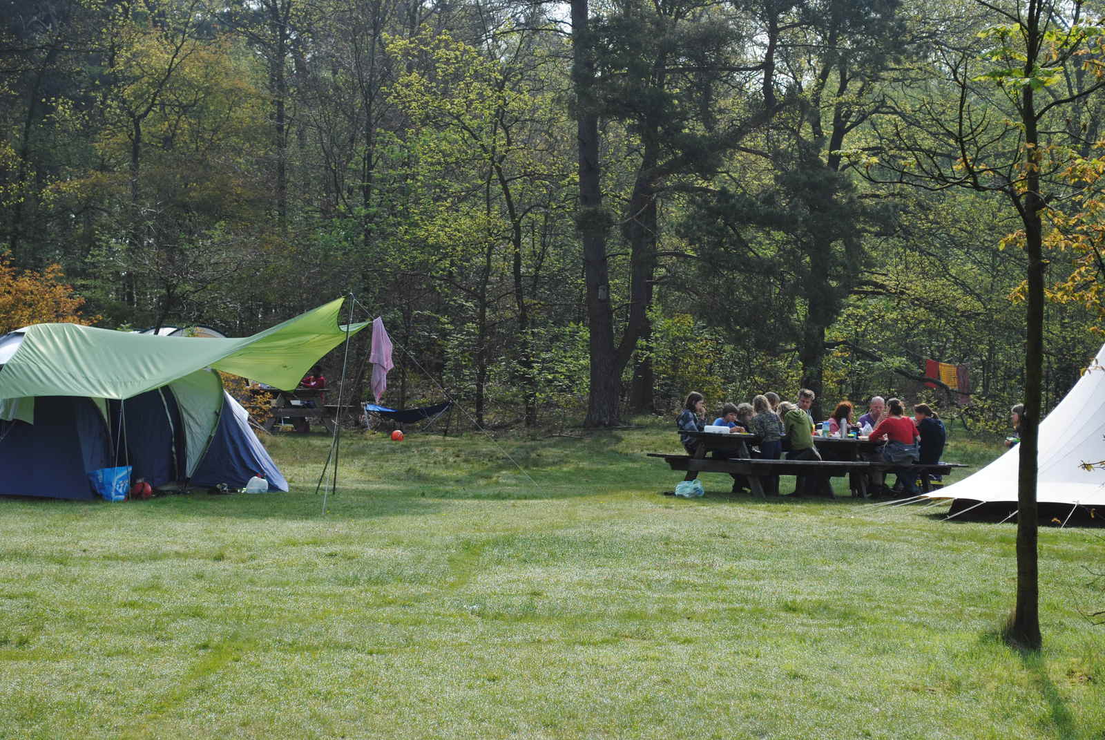 Nature Camping In De Hoge Veluwe National Park Park Hoge Veluwe
