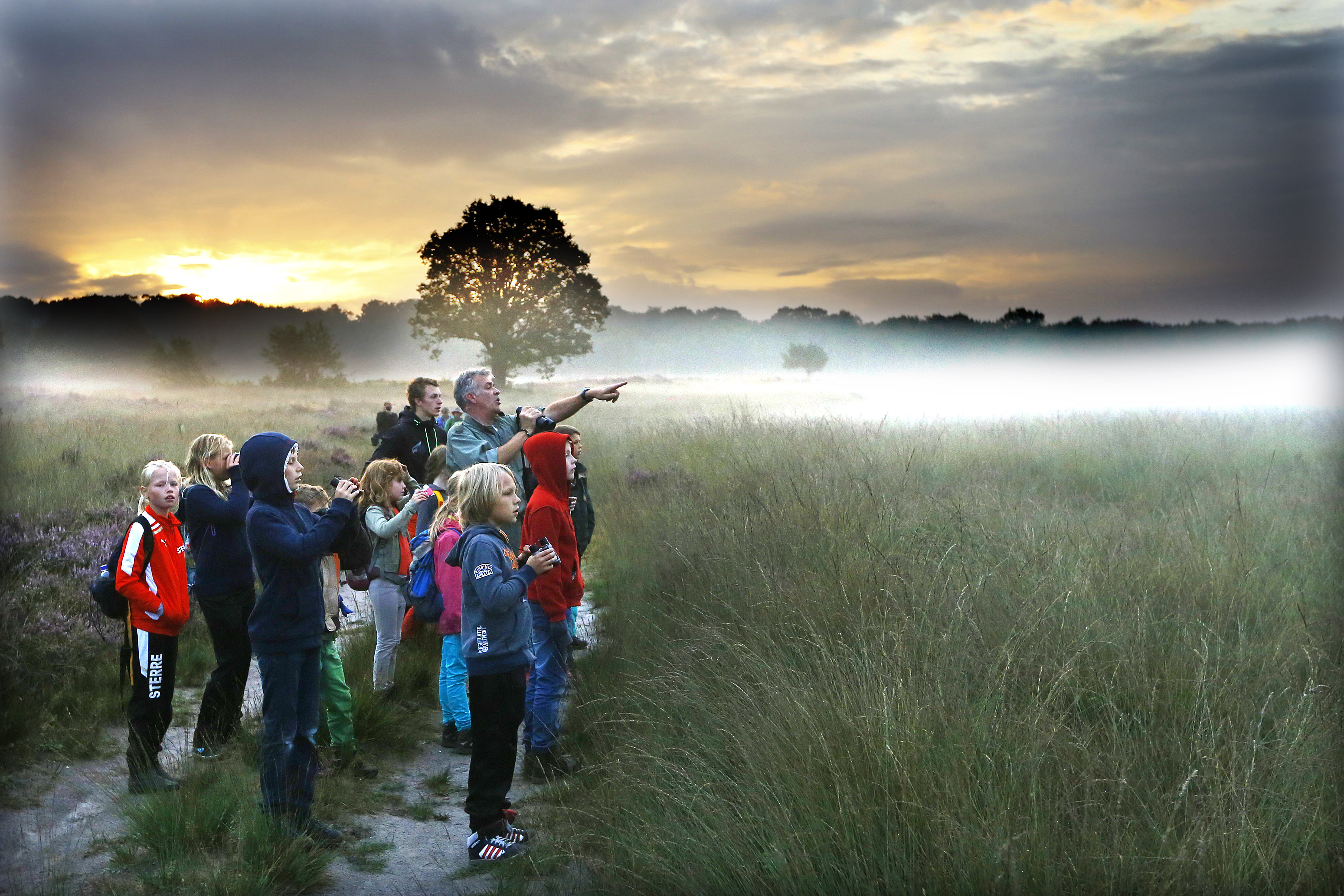 www.hogeveluwe.nl