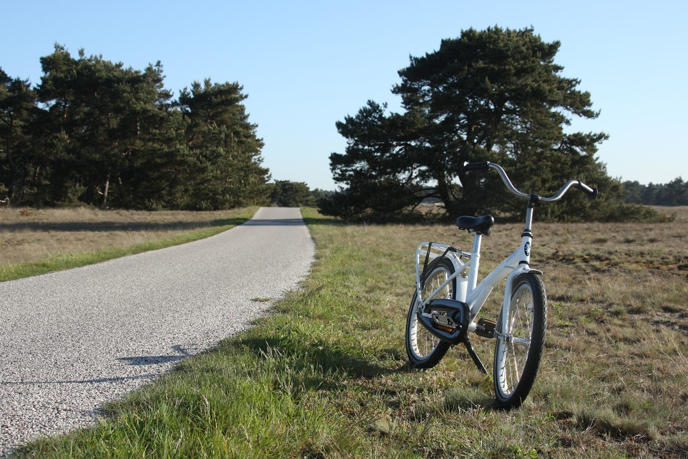 Wandelen en fietsen op De Hoge Veluwe — Park Hoge Veluwe