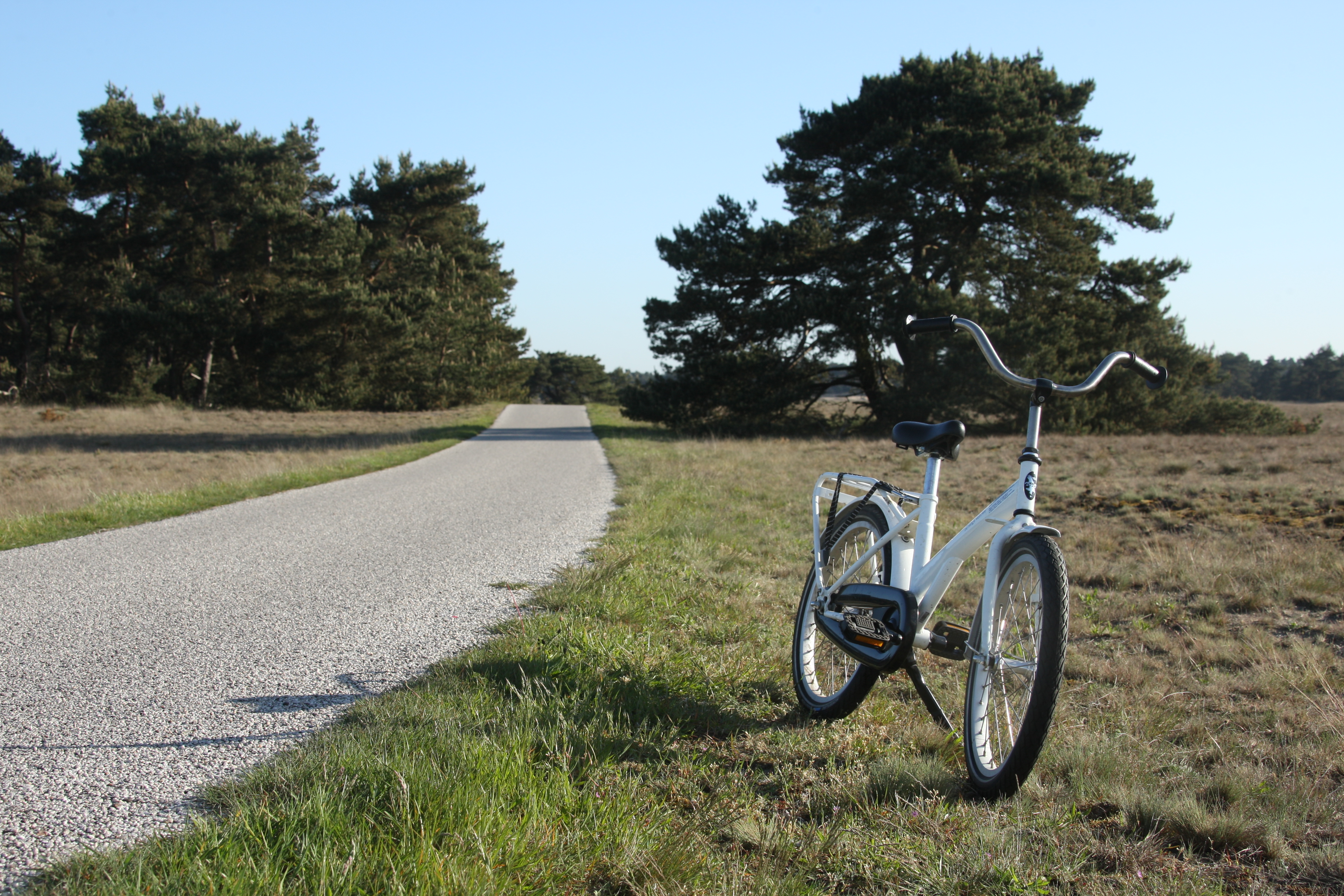 langs Reden stilte Wandelen en fietsen op De Hoge Veluwe — Park Hoge Veluwe