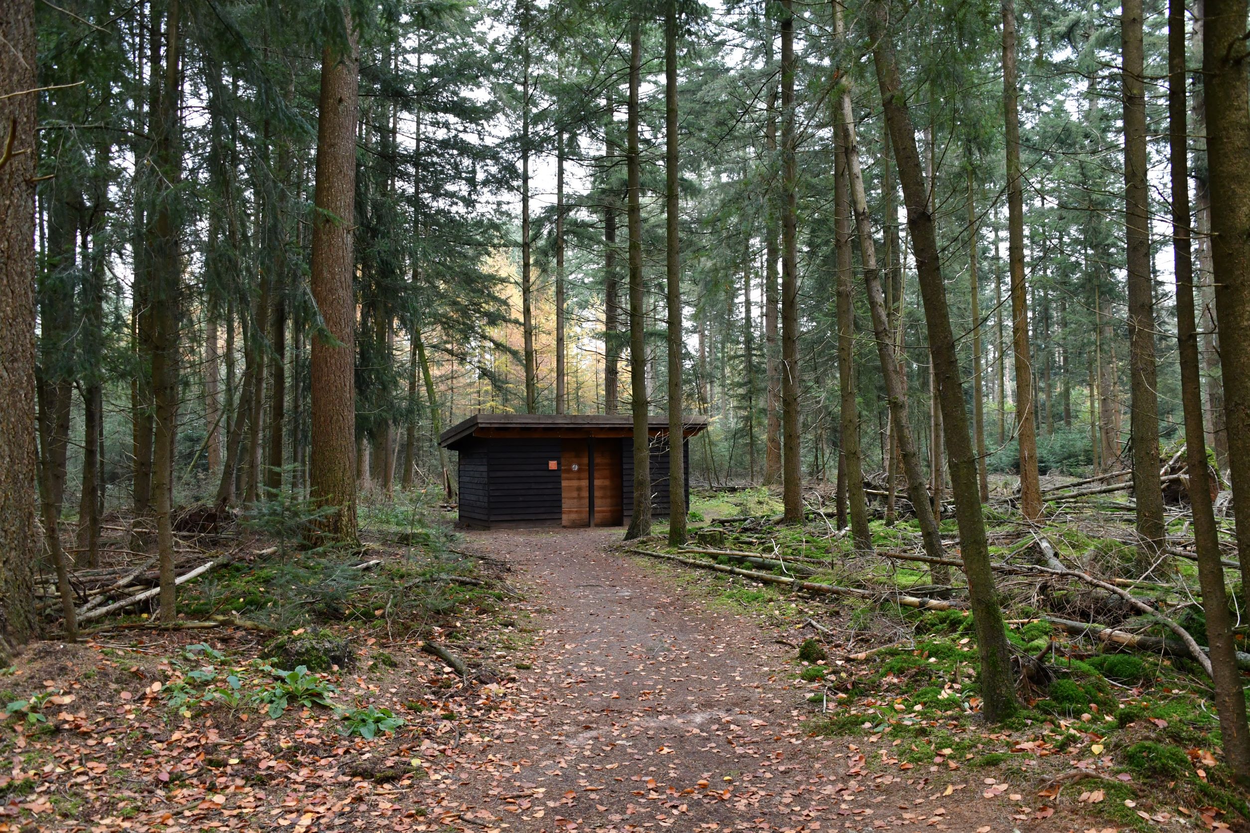 Vogelobservatiehut Otterlo — Park Hoge Veluwe