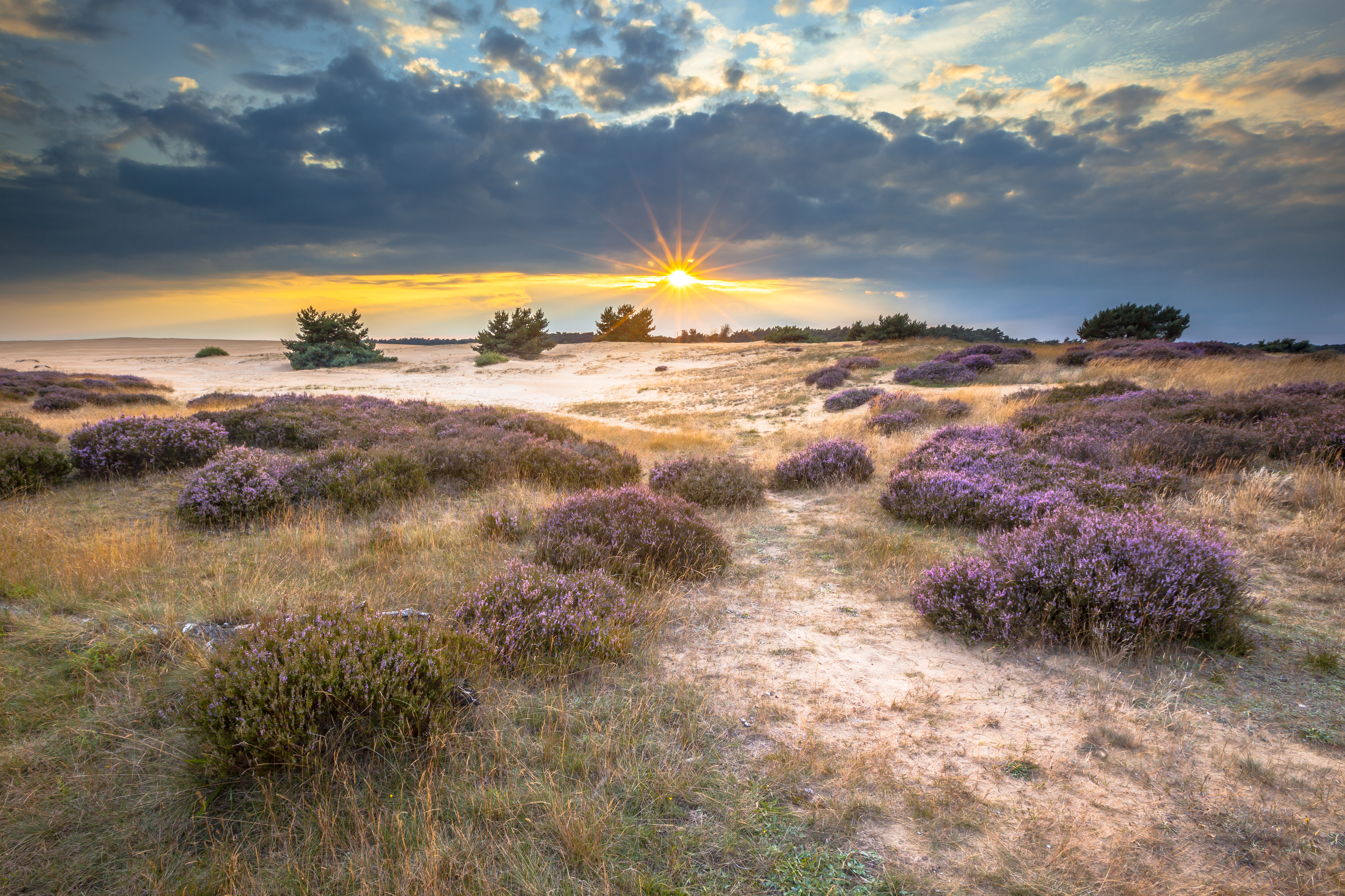 Steun het Park — Park Hoge Veluwe