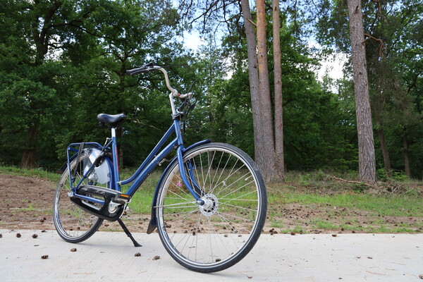 middelen halsband Poging Verhuur — Park Hoge Veluwe