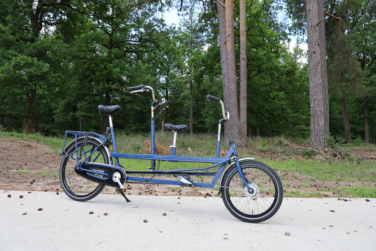 Adult and child tandem cheap