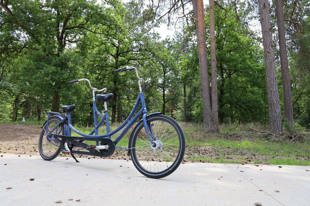 Tandem for disabled people Park Hoge Veluwe