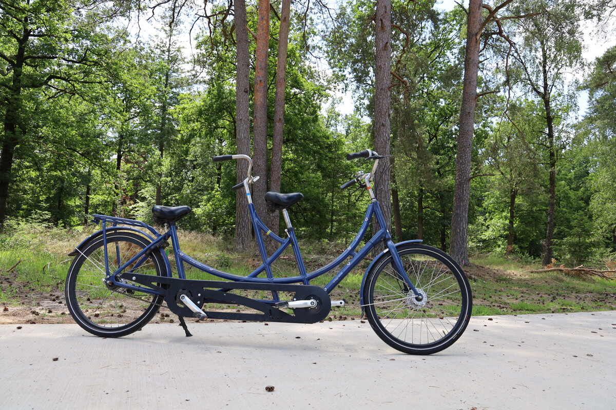 Tandem bike for disabled shop